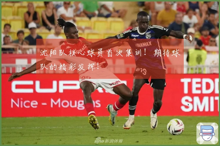 沈阳队核心球员首次集训！期待球队的精彩发挥！