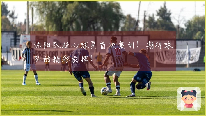 沈阳队核心球员首次集训！期待球队的精彩发挥！